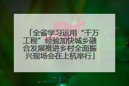 全省学习运用“千万工程”经验加快城乡融合发展推进乡村全面振兴现场会在上杭举行