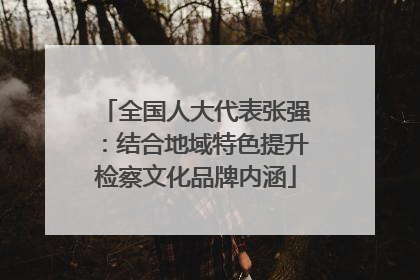 全国人大代表张强：结合地域特色提升检察文化品牌内涵