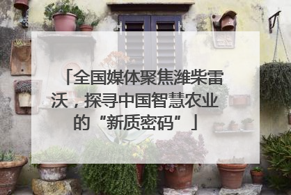 全国媒体聚焦潍柴雷沃，探寻中国智慧农业的“新质密码”