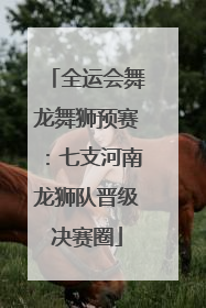 全运会舞龙舞狮预赛：七支河南龙狮队晋级决赛圈