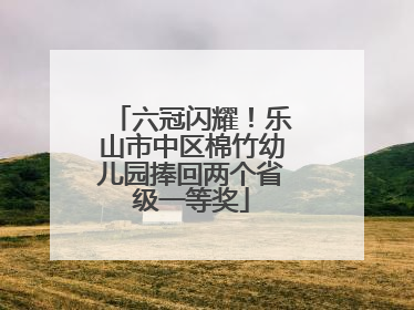 六冠闪耀！乐山市中区棉竹幼儿园捧回两个省级一等奖