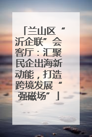 兰山区“沂企联”会客厅：汇聚民企出海新动能，打造跨境发展“强磁场”