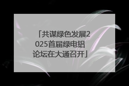 共谋绿色发展2025首届绿电铝论坛在大通召开