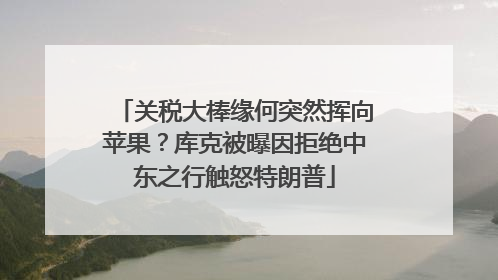 关税大棒缘何突然挥向苹果？库克被曝因拒绝中东之行触怒特朗普