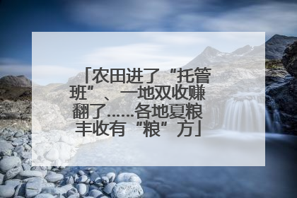 农田进了“托管班”、一地双收赚翻了……各地夏粮丰收有“粮”方