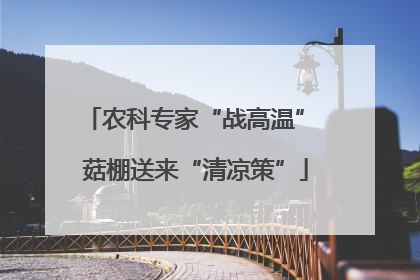 农科专家“战高温” 菇棚送来“清凉策”