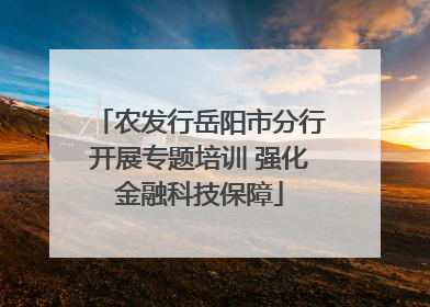 农发行岳阳市分行开展专题培训 强化金融科技保障