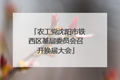 农工党沈阳市铁西区基层委员会召开换届大会