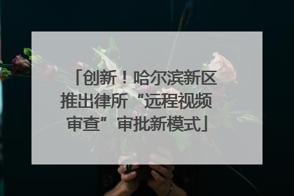 创新！哈尔滨新区推出律所“远程视频审查”审批新模式