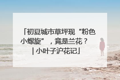 初夏城市草坪现“粉色小螺旋”，竟是兰花？ | 小叶子沪花记