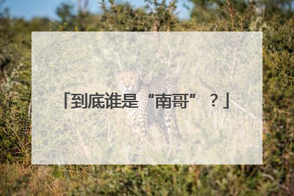 到底谁是“南哥”？