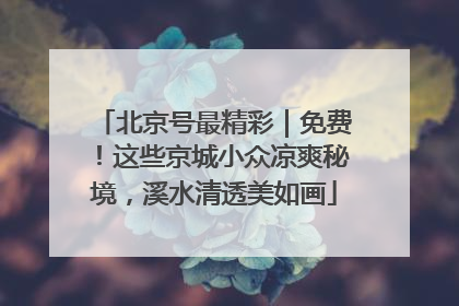 北京号最精彩｜免费！这些京城小众凉爽秘境，溪水清透美如画