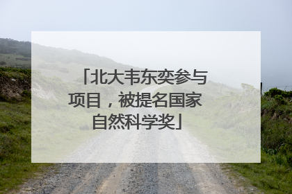 北大韦东奕参与项目，被提名国家自然科学奖