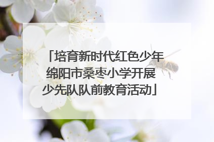 培育新时代红色少年 绵阳市桑枣小学开展少先队队前教育活动