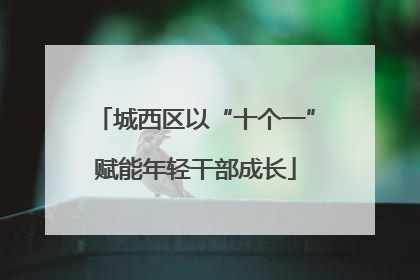 城西区以“十个一”赋能年轻干部成长