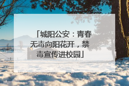 城阳公安：青春无毒向阳花开，禁毒宣传进校园