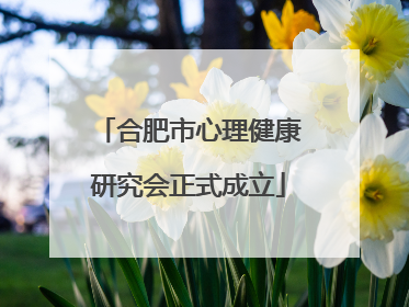 合肥市心理健康研究会正式成立
