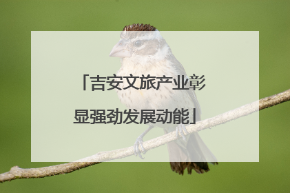 吉安文旅产业彰显强劲发展动能
