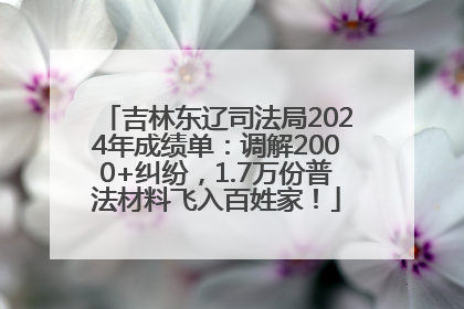 吉林东辽司法局2024年成绩单：调解2000+纠纷，1.7万份普法材料飞入百姓家！