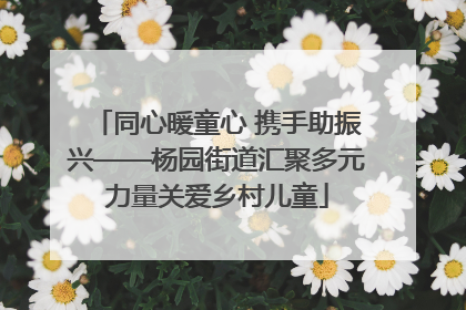 同心暖童心 携手助振兴——杨园街道汇聚多元力量关爱乡村儿童