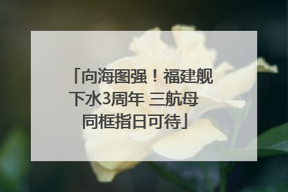 向海图强！福建舰下水3周年 三航母同框指日可待