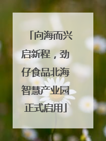 向海而兴启新程，劲仔食品北海智慧产业园正式启用