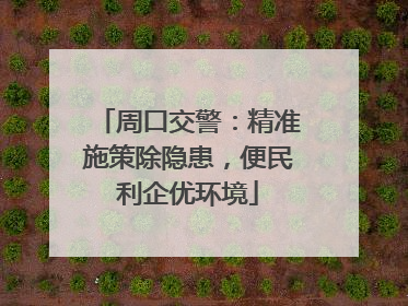 周口交警：精准施策除隐患，便民利企优环境