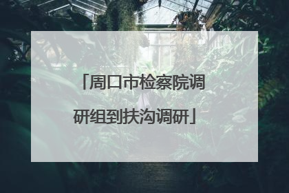 周口市检察院调研组到扶沟调研