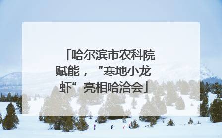 哈尔滨市农科院赋能，“寒地小龙虾”亮相哈洽会