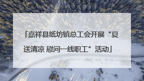 嘉祥县纸坊镇总工会开展“夏送清凉 慰问一线职工”活动