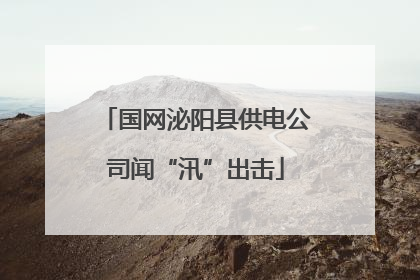 国网泌阳县供电公司闻“汛”出击
