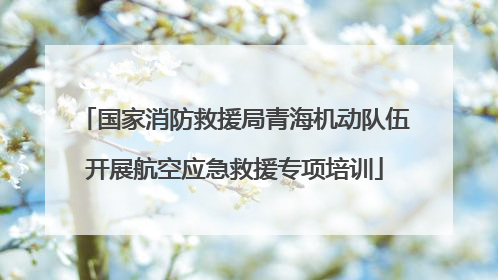 国家消防救援局青海机动队伍开展航空应急救援专项培训