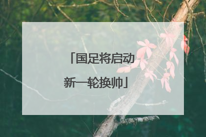 国足将启动新一轮换帅