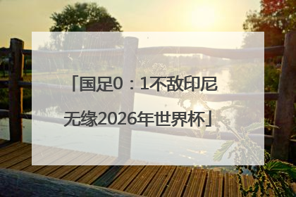 国足0：1不敌印尼 无缘2026年世界杯