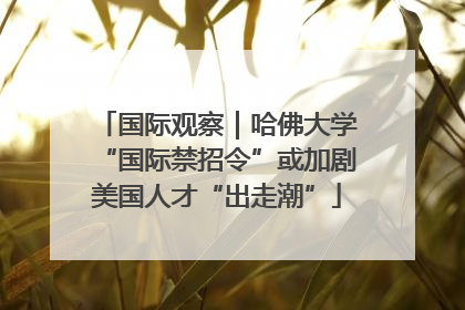 国际观察｜哈佛大学“国际禁招令”或加剧美国人才“出走潮”