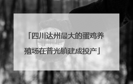 四川达州最大的蛋鸡养殖场在普光镇建成投产