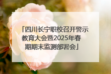 四川长宁职校召开警示教育大会暨2025年春期期末监测部署会