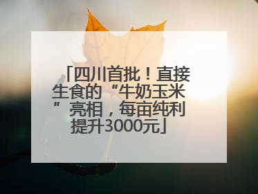 四川首批！直接生食的“牛奶玉米”亮相，每亩纯利提升3000元