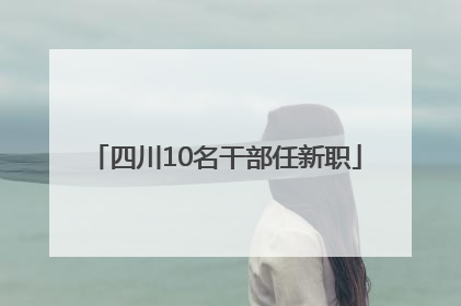 四川10名干部任新职