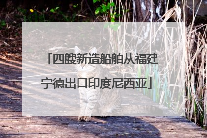 四艘新造船舶从福建宁德出口印度尼西亚