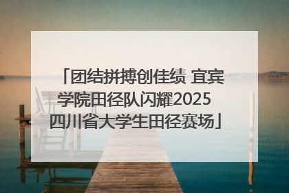 团结拼搏创佳绩 宜宾学院田径队闪耀2025四川省大学生田径赛场