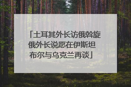 土耳其外长访俄斡旋 俄外长说愿在伊斯坦布尔与乌克兰再谈