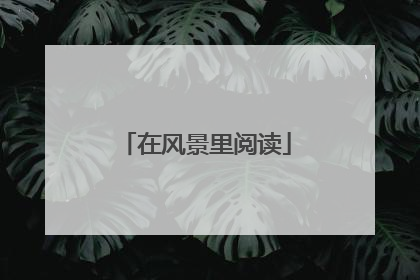 在风景里阅读