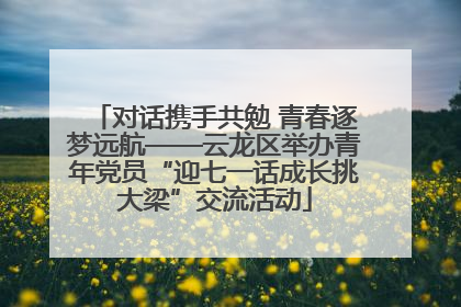 对话携手共勉 青春逐梦远航——云龙区举办青年党员“迎七一话成长挑大梁”交流活动