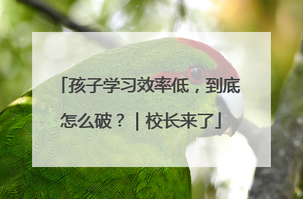 孩子学习效率低，到底怎么破？｜校长来了
