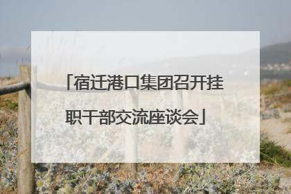 宿迁港口集团召开挂职干部交流座谈会