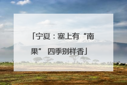 宁夏：塞上有“南果” 四季别样香