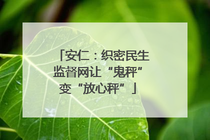 安仁：织密民生监督网让“鬼秤”变“放心秤”