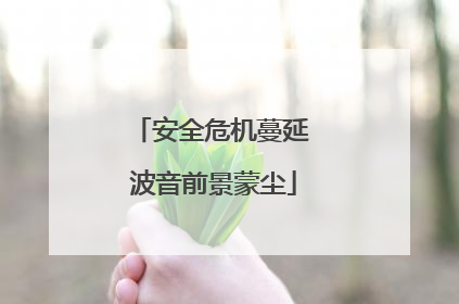 安全危机蔓延 波音前景蒙尘