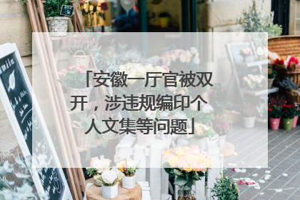 安徽一厅官被双开，涉违规编印个人文集等问题